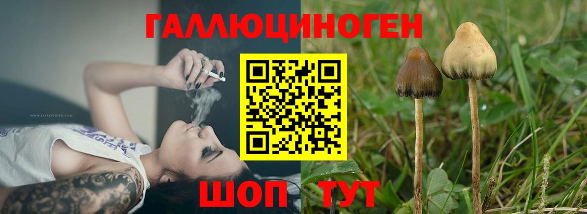 Псилоцибиновые грибы MAGIC MUSHROOMS Ижевск